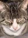 IMG_3003.jpeg