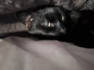 20250105_112301.jpg