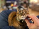 IMG_2581.jpeg