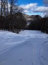 IMG_8728.jpeg