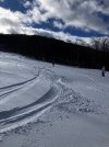 IMG_8707.jpeg