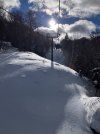 IMG_8704.jpeg