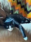 IMG_1308_Original.jpeg