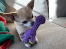 IMG_2175.jpeg
