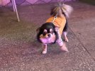 IMG_2481.jpeg