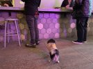 IMG_2467.jpeg