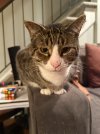 IMG_0153.jpeg