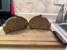 IMG_1316.jpeg