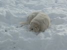 IMG_6169.jpeg