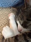 IMG_3056.jpeg