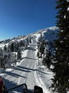 IMG_0101.jpeg