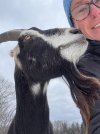 IMG_3141.jpeg
