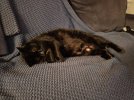 20250209_185218.jpg