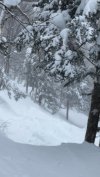 IMG_5306.JPEG