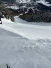 IMG_5310.JPEG