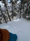 IMG_5316.JPEG