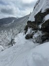 IMG_5335.JPEG