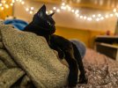 235C9FAA-A798-4696-966B-FFFE65CA4BF5.jpeg