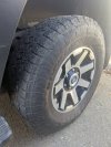 PXL_20250217_145131063.jpg
