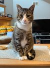 IMG_3194.jpeg