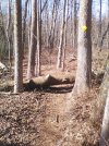 IMG_20250223_133356.jpg