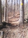 IMG_20250223_135413.jpg