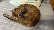 IMG_3540.jpeg