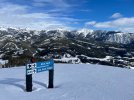 IMG_0418.jpeg