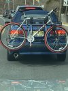 IMG_0902.jpeg
