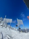 IMG_8066.jpeg