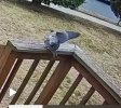 IMG_7920.jpeg