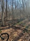 IMG_0883.jpeg