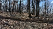 IMG_3459.jpeg
