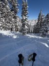 IMG_5709.jpeg