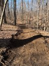 IMG_1910.jpeg