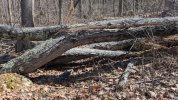 PXL_20250311_162407906.jpg
