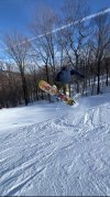 IMG_5498.JPEG