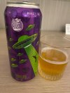IMG_2523.jpeg
