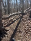 IMG_7014.jpeg