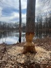 IMG_0925.jpeg