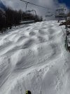 IMG_5327.jpeg