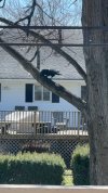 IMG_4158.jpeg