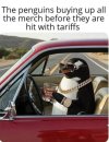 FB_IMG_1743814678245.jpg