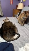 IMG_4336.jpeg