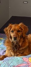 IMG_4988.jpeg