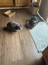 IMG_2822.jpeg