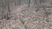 PXL_20250410_181213653.jpg