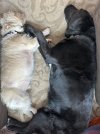 IMG_6512.jpeg