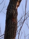20250105_165959.jpg