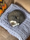 IMG_0778.jpeg